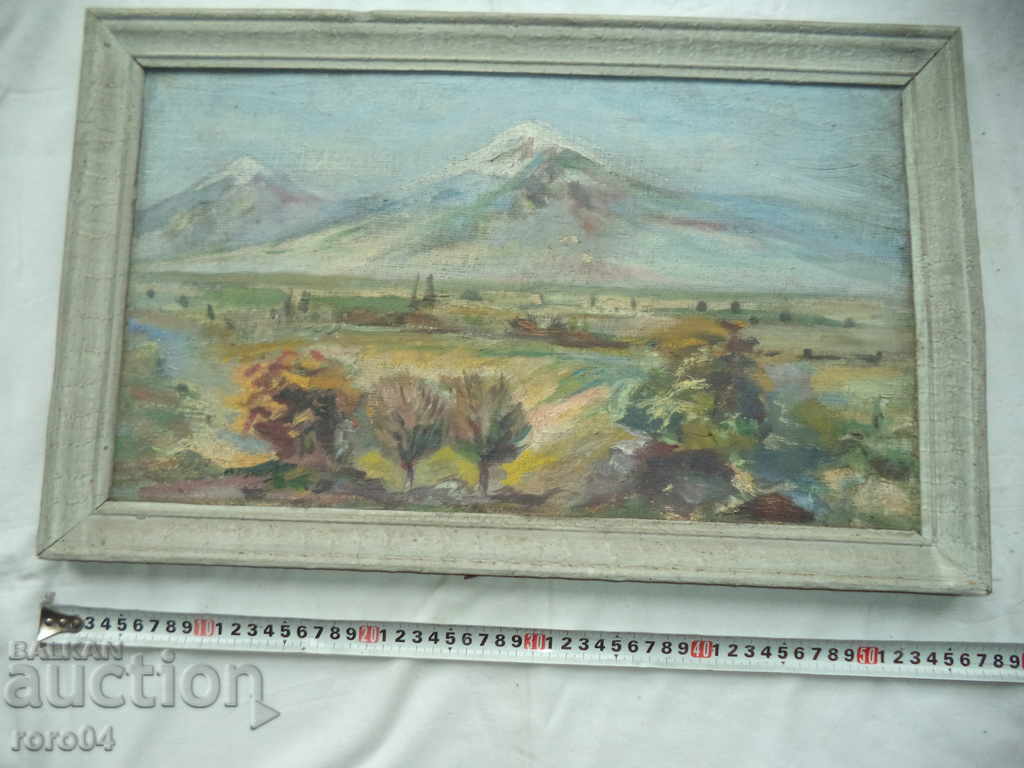 STAR MOUNTAINS - MPB - 6 STAR MOUNTAINS - MPB - 6