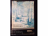 Book "Landscape photo - SCIvanov - Allyluev" - 80 pp.