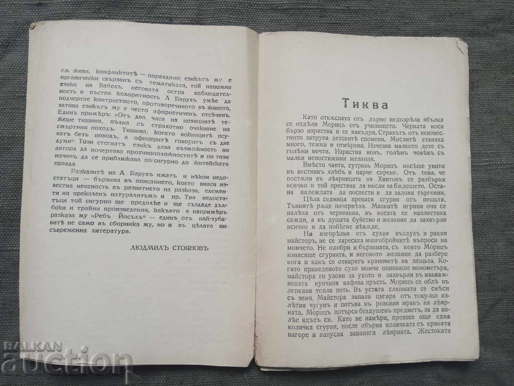 Auction  Carnations and Shoes. Armand Baruch