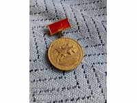 Μετάλλιο, τάξη, σημάδι του Παρβάνς στον σοσιαλιστικό ανταγωνισμό