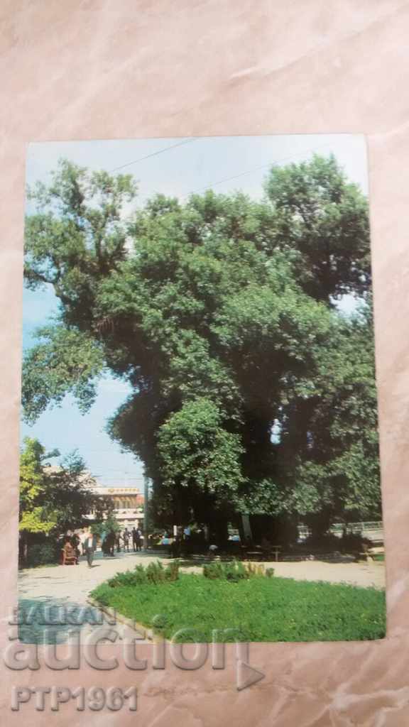 Пещера Пещера