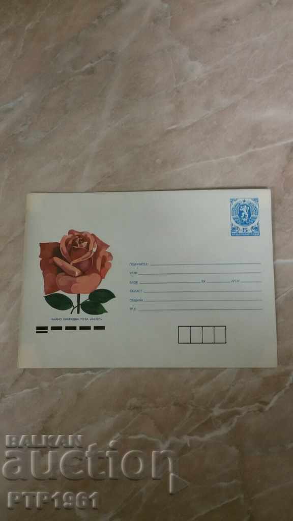 envelope-rose