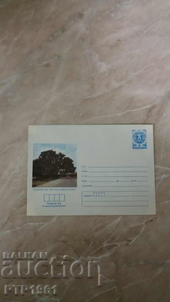 envelope-nature envelope-nature