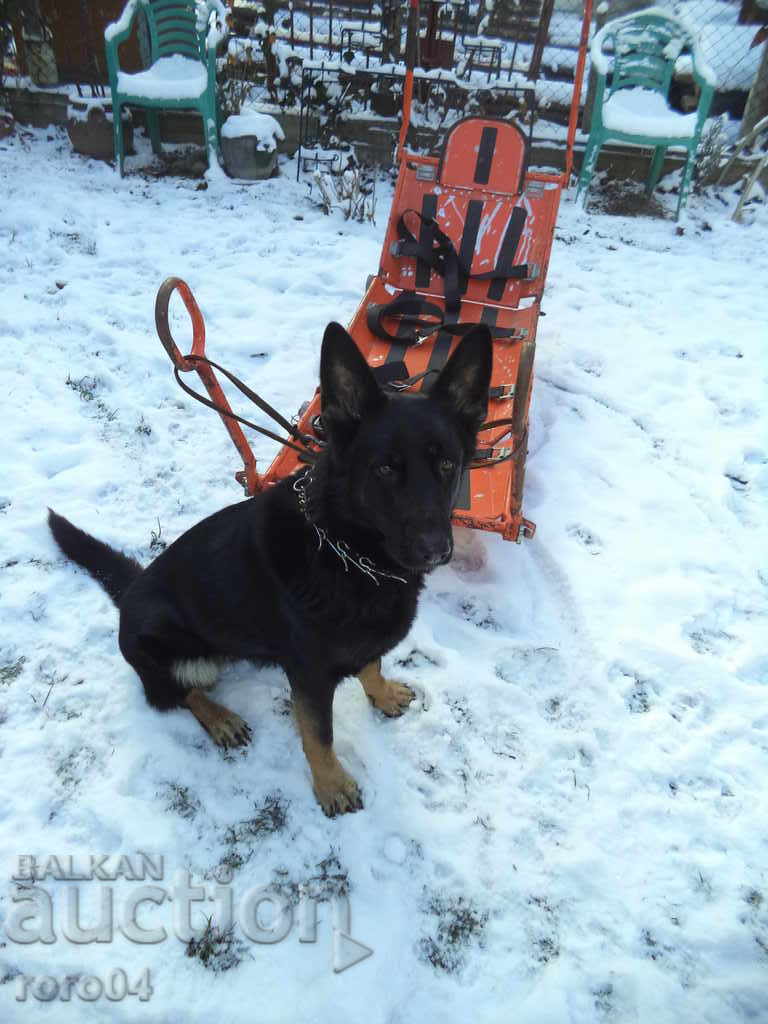 STARA MOUNTAIN RESCUE SEQUENCE - ACTUAL with price 444.44 BGN | € 227.24 STARA MOUNTAIN RESCUE SEQUENCE - ACTUAL with price 444.44 BGN | € 227.24