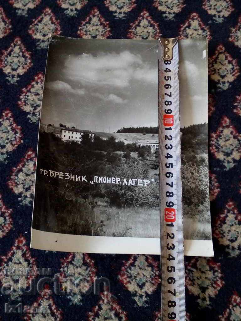 Auction  Old photo town of Breznik