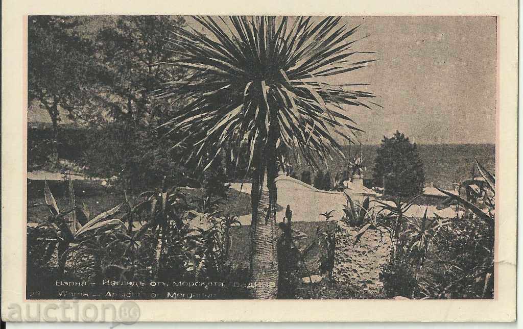 Old card, Varna