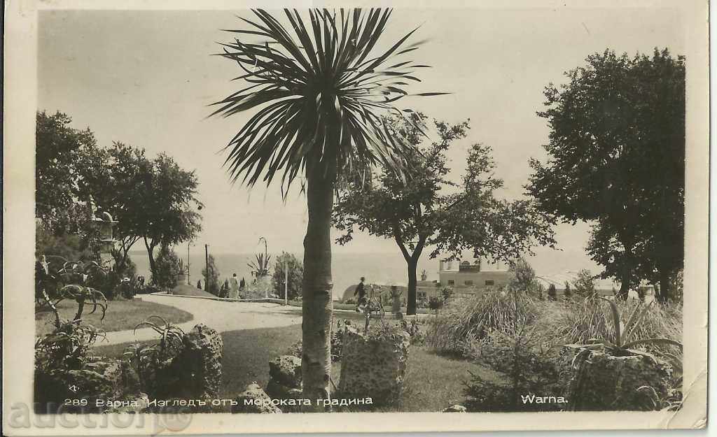 Veche carte poștală, Varna