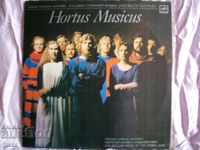 C 10 05083-6 Hortus Musicus - 1981