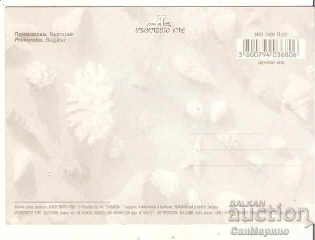 Map Bulgaria Primorsko 9 * with price 0.60 BGN | € 0.31 Map Bulgaria Primorsko 9 * with price 0.60 BGN | € 0.31