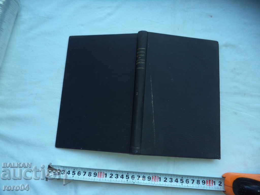 HISTORY OF PLASTIC ARTS - NIKOLAY RAINOV - 1932 - 6 HISTORY OF PLASTIC ARTS - NIKOLAY RAINOV - 1932 - 6