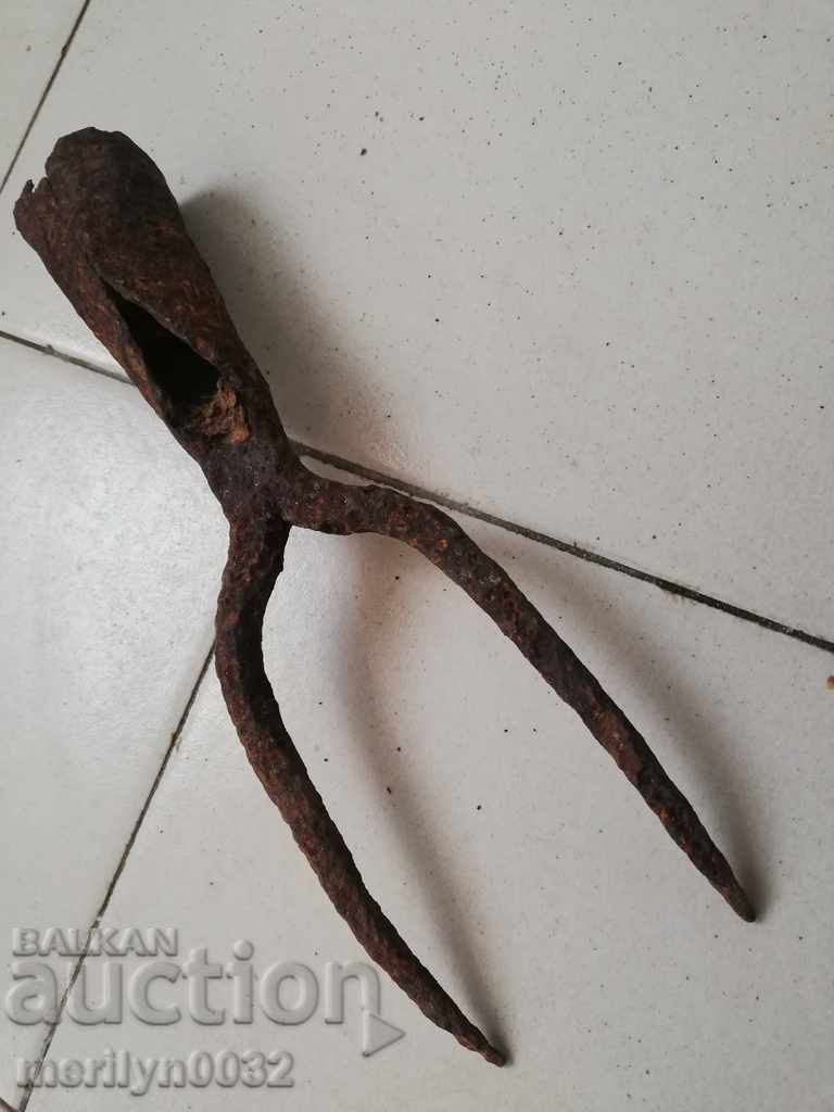 Double tooth, beet harvester, wrought iron - 5 Double tooth, beet harvester, wrought iron - 5