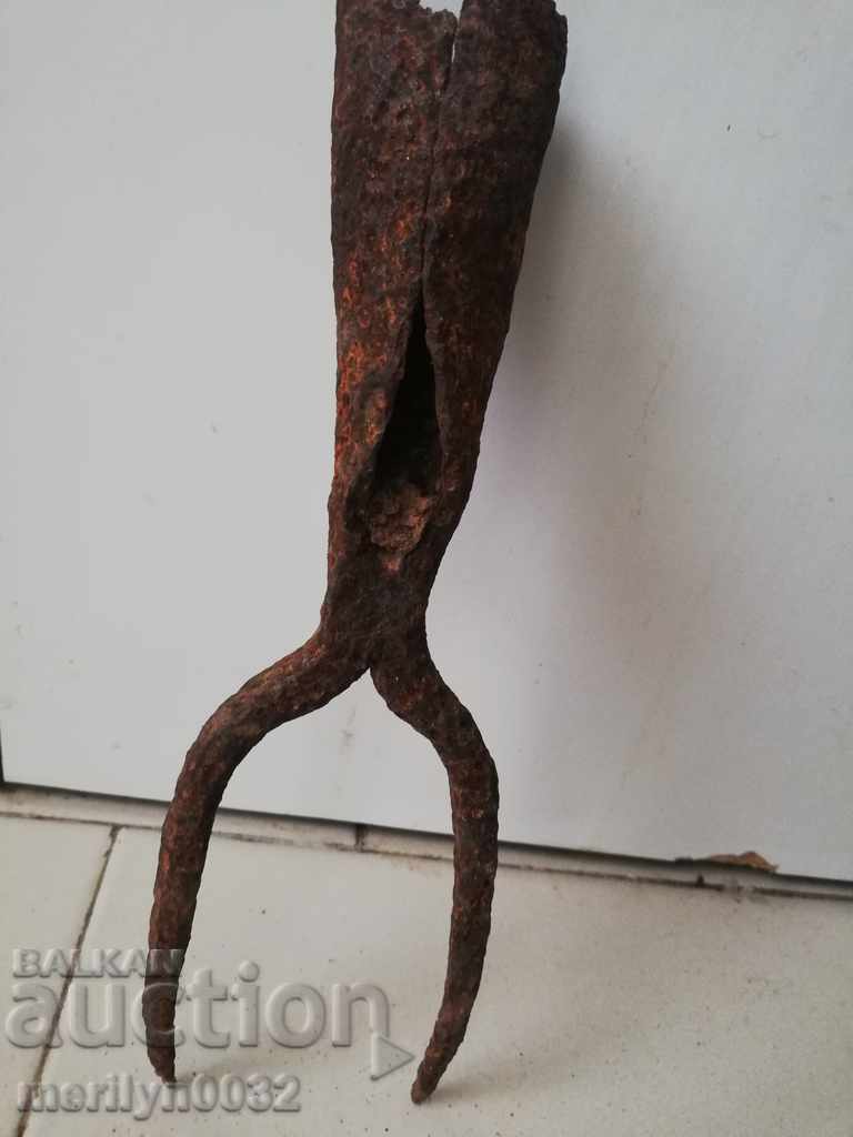 Double tooth, beet harvester, wrought iron - 6 Double tooth, beet harvester, wrought iron - 6