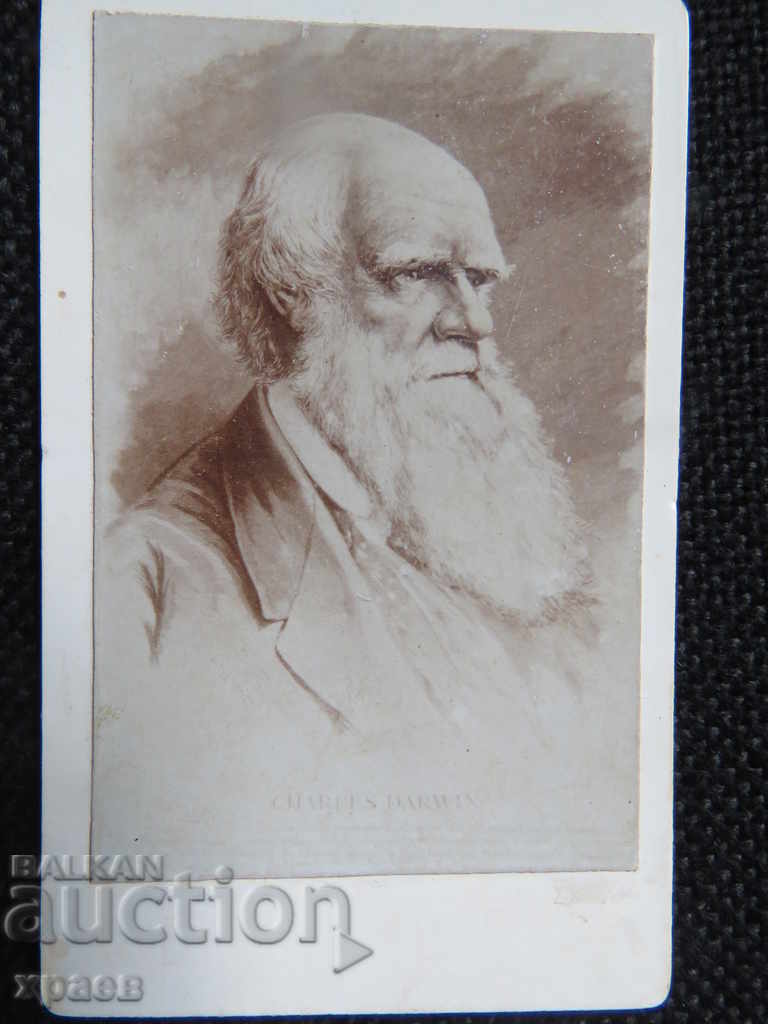 FOTO VECHE - CARTON - MIC - CHARLES DARWIN