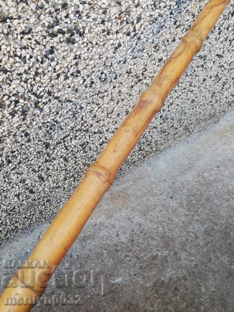 An old walking stick made of bamboo wood. of the 20th century - 7 An old walking stick made of bamboo wood. of the 20th century - 7