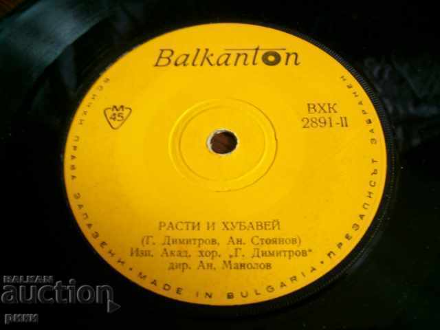 BXK 2891 Scarlet Poppy Grown and beautiful with price 1.50 BGN | € 0.77 BXK 2891 Scarlet Poppy Grown and beautiful with price 1.50 BGN | € 0.77