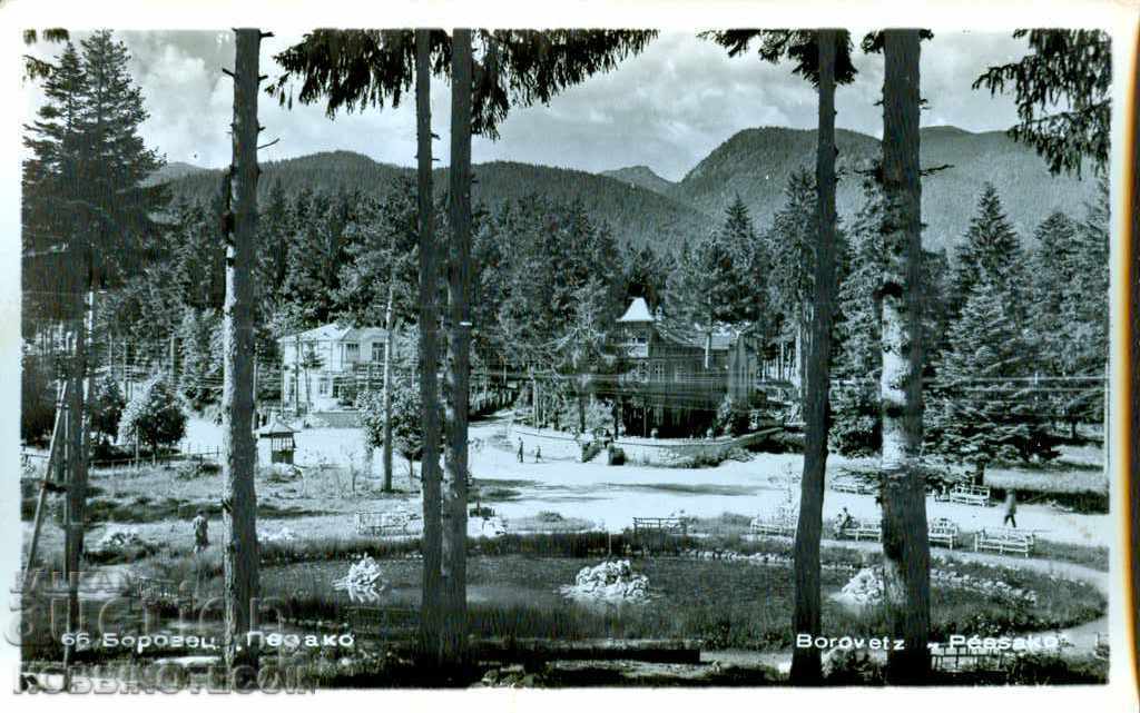 TAKHIDROMICHNA KARTICHKA BOROVETS PESAKO predi 1961 g