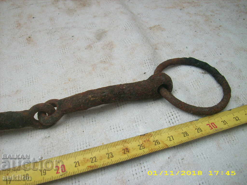 Delivery of STAR HORSE MASSIVE GEM OF KONCA MUNICIA Delivery of STAR HORSE MASSIVE GEM OF KONCA MUNICIA