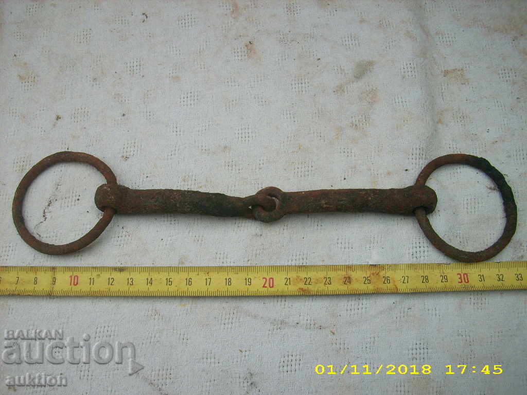 STAR HORSE MASSIVE GEM OF KONCA MUNICIA - 5 STAR HORSE MASSIVE GEM OF KONCA MUNICIA - 5