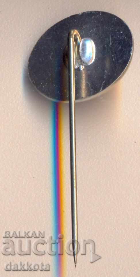 Insigna Delmag cu preț 2.90 BGN | € 1.48