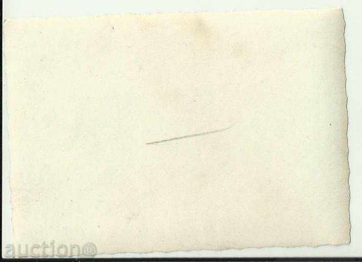 Old photo, park, garden 1.10.1956 with price 6.00 BGN | € 3.07 Old photo, park, garden 1.10.1956 with price 6.00 BGN | € 3.07