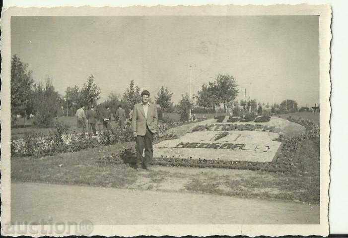 Fotografie veche, parc, grădină 1.10.1956