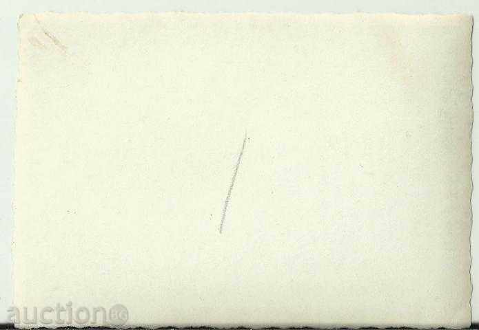 Veche fotografie, parc, grădină 1.10.1956 cu preț € 3.00 | 5.87 BGN