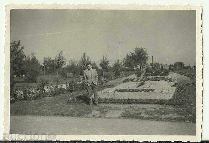 Veche fotografie, parc, grădină 1.10.1956