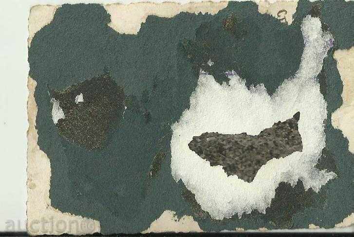 Old photo with machine guns with price 4.00 BGN | € 2.05 Old photo with machine guns with price 4.00 BGN | € 2.05