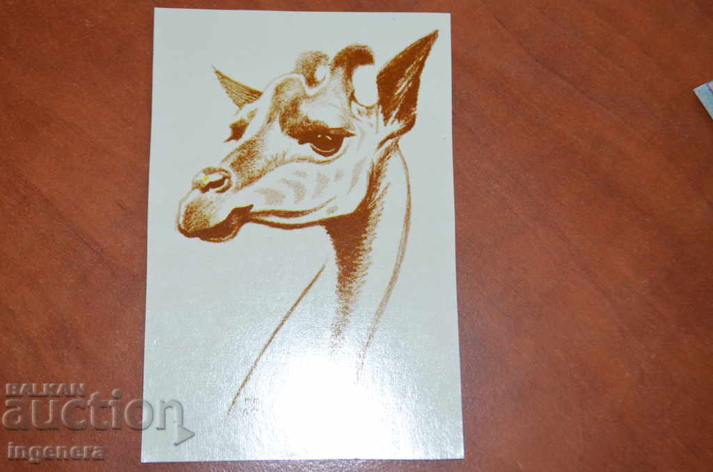 Auction CARDS-2 BR Auction CARDS-2 BR