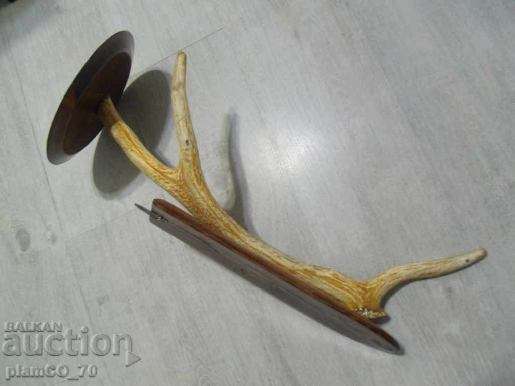 Delivery of No * 1669 old stand / horn decoration - for wall Delivery of No * 1669 old stand / horn decoration - for wall