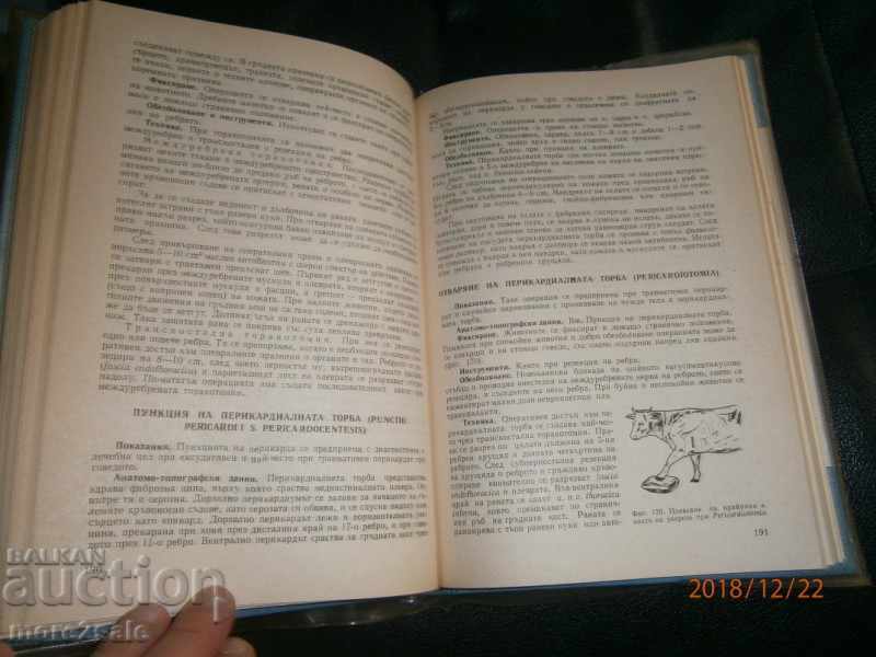 Δημοπρασία PROF. Ο. ΝΕΥΧΕΥ - ΕΠΙΧΕΙΡΗΜΑΤΙΚΗ ΧΕΙΡΟΥΡΓΙΚΗ ΤΩΝ ΕΣΩΤΕΡΙΚΩΝ ΖΩΩΝ Δημοπρασία PROF. Ο. ΝΕΥΧΕΥ - ΕΠΙΧΕΙΡΗΜΑΤΙΚΗ ΧΕΙΡΟΥΡΓΙΚΗ ΤΩΝ ΕΣΩΤΕΡΙΚΩΝ ΖΩΩΝ