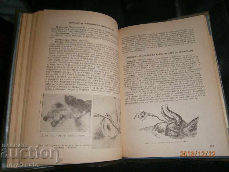 PROF. Ο. ΝΕΥΧΕΥ - ΕΠΙΧΕΙΡΗΜΑΤΙΚΗ ΧΕΙΡΟΥΡΓΙΚΗ ΤΩΝ ΕΣΩΤΕΡΙΚΩΝ ΖΩΩΝ - 6 PROF. Ο. ΝΕΥΧΕΥ - ΕΠΙΧΕΙΡΗΜΑΤΙΚΗ ΧΕΙΡΟΥΡΓΙΚΗ ΤΩΝ ΕΣΩΤΕΡΙΚΩΝ ΖΩΩΝ - 6