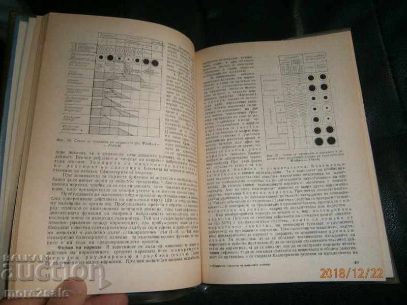 PROF. Ο. ΝΕΥΧΕΥ - ΕΠΙΧΕΙΡΗΜΑΤΙΚΗ ΧΕΙΡΟΥΡΓΙΚΗ ΤΩΝ ΕΣΩΤΕΡΙΚΩΝ ΖΩΩΝ - 7 PROF. Ο. ΝΕΥΧΕΥ - ΕΠΙΧΕΙΡΗΜΑΤΙΚΗ ΧΕΙΡΟΥΡΓΙΚΗ ΤΩΝ ΕΣΩΤΕΡΙΚΩΝ ΖΩΩΝ - 7