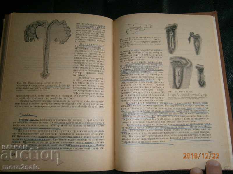 Δημοπρασία PROF. ΤΣΕΝΚΟ ΓΙΓΟΒΟ - ΑΝΑΤΟΜΙΑ ΕΣΩΤΕΡΙΚΩΝ ΖΩΩΝ - ΤΟΜΟΣ 1 Δημοπρασία PROF. ΤΣΕΝΚΟ ΓΙΓΟΒΟ - ΑΝΑΤΟΜΙΑ ΕΣΩΤΕΡΙΚΩΝ ΖΩΩΝ - ΤΟΜΟΣ 1