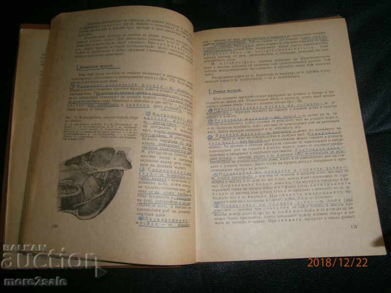 PROF. ΤΣΕΝΚΟ ΓΙΓΟΒΟ - ΑΝΑΤΟΜΙΑ ΕΣΩΤΕΡΙΚΩΝ ΖΩΩΝ - ΤΟΜΟΣ 1 - 6 PROF. ΤΣΕΝΚΟ ΓΙΓΟΒΟ - ΑΝΑΤΟΜΙΑ ΕΣΩΤΕΡΙΚΩΝ ΖΩΩΝ - ΤΟΜΟΣ 1 - 6