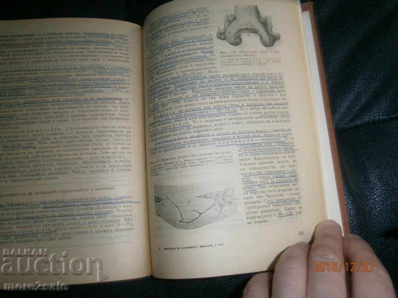 PROF. ΤΣΕΝΚΟ ΓΙΓΟΒΟ - ΑΝΑΤΟΜΙΑ ΕΣΩΤΕΡΙΚΩΝ ΖΩΩΝ - ΤΟΜΟΣ 1 - 7 PROF. ΤΣΕΝΚΟ ΓΙΓΟΒΟ - ΑΝΑΤΟΜΙΑ ΕΣΩΤΕΡΙΚΩΝ ΖΩΩΝ - ΤΟΜΟΣ 1 - 7