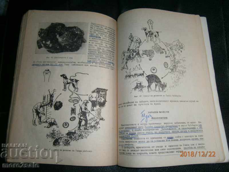 PROF. ΠΑΛΙ ΓΚΑΒΡΑΣΧΑΝΣΚΙ - ΑΣΘΕΝΕΙΕΣ ΓΙΑ ΚΟΡΙΤΣΙ ΜΕ ΒΑΣΕΙΣ ΚΟΡΙΤΣΙΩΝ με τιμή 9.00 BGN | € 4.60 PROF. ΠΑΛΙ ΓΚΑΒΡΑΣΧΑΝΣΚΙ - ΑΣΘΕΝΕΙΕΣ ΓΙΑ ΚΟΡΙΤΣΙ ΜΕ ΒΑΣΕΙΣ ΚΟΡΙΤΣΙΩΝ με τιμή 9.00 BGN | € 4.60