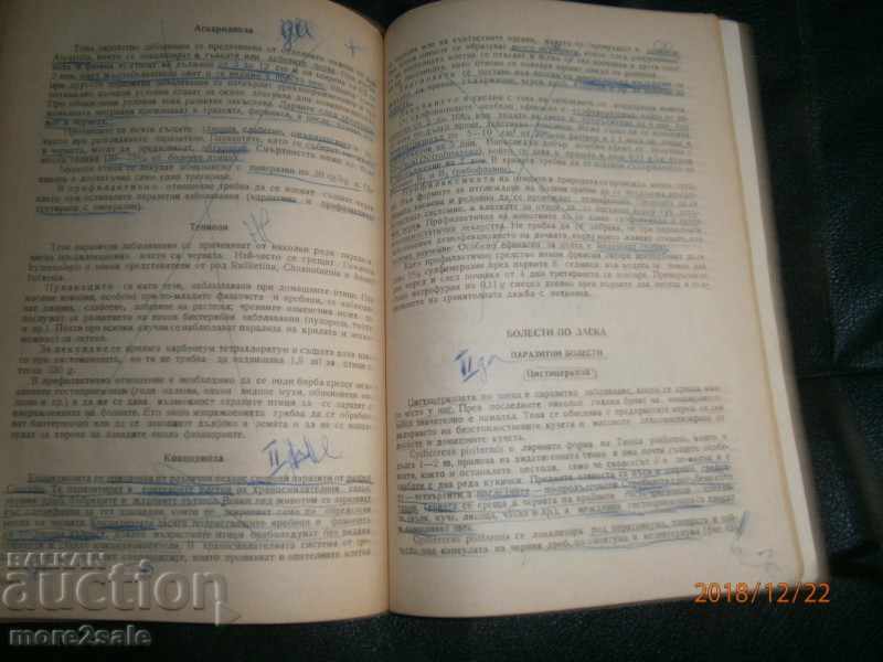 Δημοπρασία PROF. ΠΑΛΙ ΓΚΑΒΡΑΣΧΑΝΣΚΙ - ΑΣΘΕΝΕΙΕΣ ΓΙΑ ΚΟΡΙΤΣΙ ΜΕ ΒΑΣΕΙΣ ΚΟΡΙΤΣΙΩΝ Δημοπρασία PROF. ΠΑΛΙ ΓΚΑΒΡΑΣΧΑΝΣΚΙ - ΑΣΘΕΝΕΙΕΣ ΓΙΑ ΚΟΡΙΤΣΙ ΜΕ ΒΑΣΕΙΣ ΚΟΡΙΤΣΙΩΝ