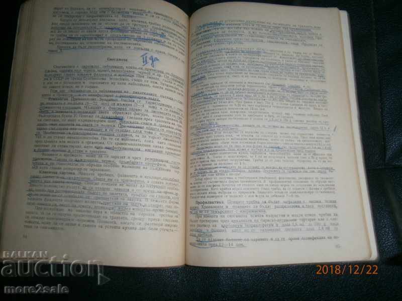 Παράδοση PROF. ΠΑΛΙ ΓΚΑΒΡΑΣΧΑΝΣΚΙ - ΑΣΘΕΝΕΙΕΣ ΓΙΑ ΚΟΡΙΤΣΙ ΜΕ ΒΑΣΕΙΣ ΚΟΡΙΤΣΙΩΝ Παράδοση PROF. ΠΑΛΙ ΓΚΑΒΡΑΣΧΑΝΣΚΙ - ΑΣΘΕΝΕΙΕΣ ΓΙΑ ΚΟΡΙΤΣΙ ΜΕ ΒΑΣΕΙΣ ΚΟΡΙΤΣΙΩΝ