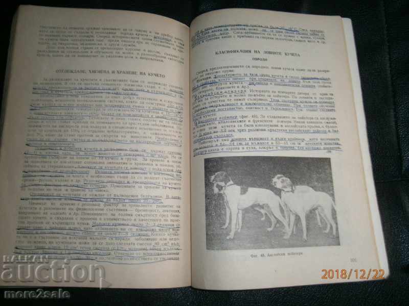 PROF. ΠΑΛΙ ΓΚΑΒΡΑΣΧΑΝΣΚΙ - ΑΣΘΕΝΕΙΕΣ ΓΙΑ ΚΟΡΙΤΣΙ ΜΕ ΒΑΣΕΙΣ ΚΟΡΙΤΣΙΩΝ - 5 PROF. ΠΑΛΙ ΓΚΑΒΡΑΣΧΑΝΣΚΙ - ΑΣΘΕΝΕΙΕΣ ΓΙΑ ΚΟΡΙΤΣΙ ΜΕ ΒΑΣΕΙΣ ΚΟΡΙΤΣΙΩΝ - 5