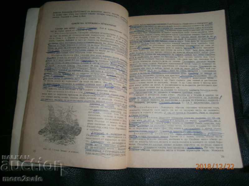 PROF. ΠΑΛΙ ΓΚΑΒΡΑΣΧΑΝΣΚΙ - ΑΣΘΕΝΕΙΕΣ ΓΙΑ ΚΟΡΙΤΣΙ ΜΕ ΒΑΣΕΙΣ ΚΟΡΙΤΣΙΩΝ - 6 PROF. ΠΑΛΙ ΓΚΑΒΡΑΣΧΑΝΣΚΙ - ΑΣΘΕΝΕΙΕΣ ΓΙΑ ΚΟΡΙΤΣΙ ΜΕ ΒΑΣΕΙΣ ΚΟΡΙΤΣΙΩΝ - 6
