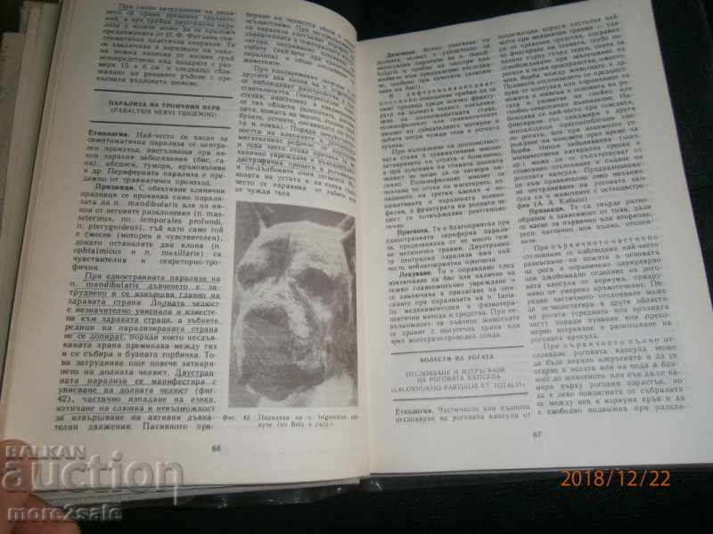 Παράδοση PROF. DR KOYCHEV - ΕΙΔΙΚΗ ΧΕΙΡΟΥΡΓΙΚΗ ΕΣΩΤΕΡΙΚΩΝ ΖΩΩΝ Παράδοση PROF. DR KOYCHEV - ΕΙΔΙΚΗ ΧΕΙΡΟΥΡΓΙΚΗ ΕΣΩΤΕΡΙΚΩΝ ΖΩΩΝ