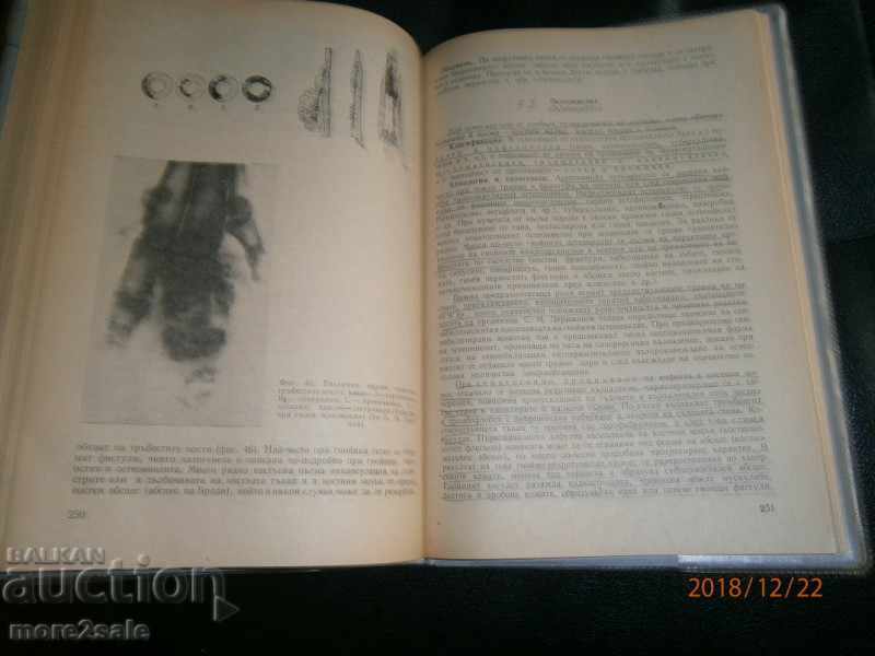 Auction PROF. KRUM KOYCHEV - GENERAL VETERINARY SURGERY - 1980 Auction PROF. KRUM KOYCHEV - GENERAL VETERINARY SURGERY - 1980