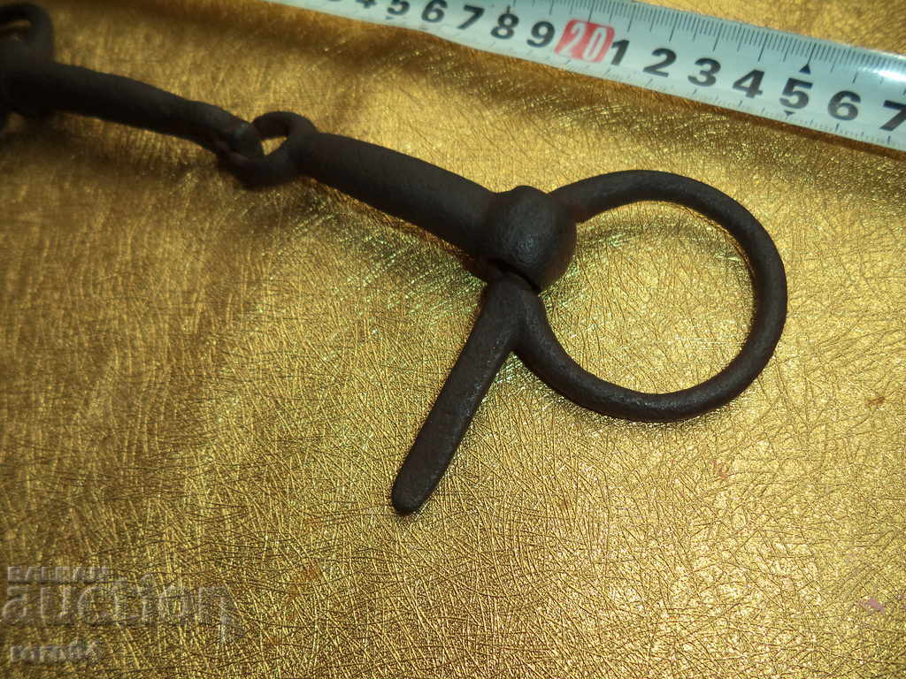 Auction OLD HORSE RIDING WAVES - EXCELLENT Auction OLD HORSE RIDING WAVES - EXCELLENT