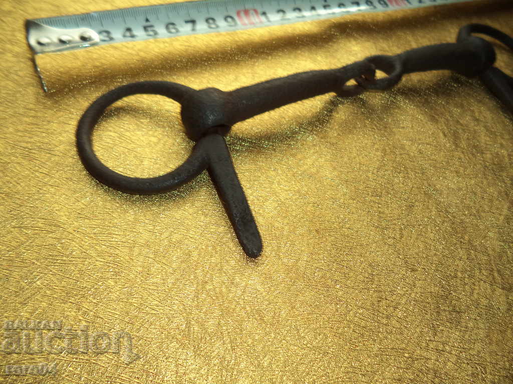 Delivery of OLD HORSE RIDING WAVES - EXCELLENT Delivery of OLD HORSE RIDING WAVES - EXCELLENT