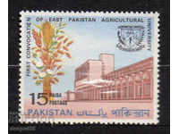 1968. Pakistan. Agrarian University of Iz. Pakistan.