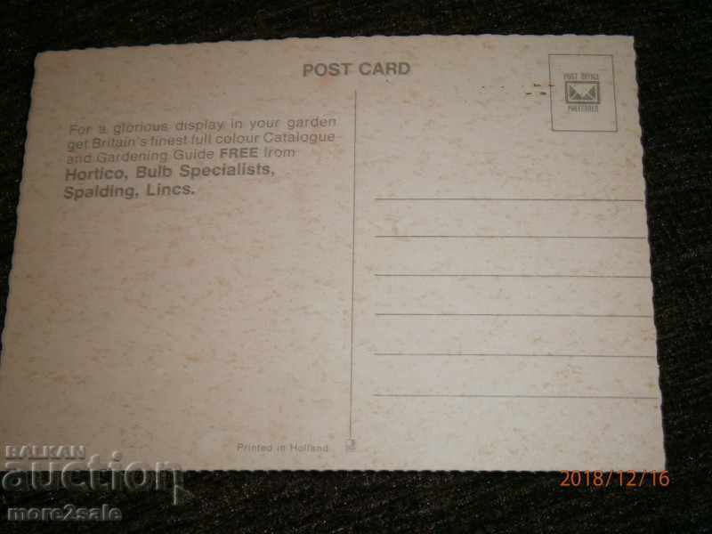 Card - GREETINGS FROM SPRINGFIELDS - GREAT BRITAIN with price 0.60 BGN | € 0.31 Card - GREETINGS FROM SPRINGFIELDS - GREAT BRITAIN with price 0.60 BGN | € 0.31