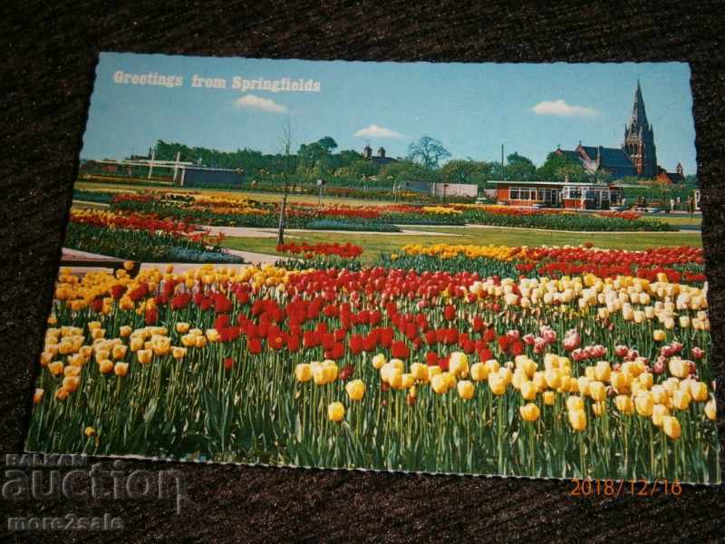 Card - GREETINGS FROM SPRINGFIELDS - GREAT BRITAIN
