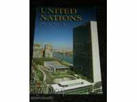 CHART - UNITED NATIONS BUILDING - NEW YORK - USA