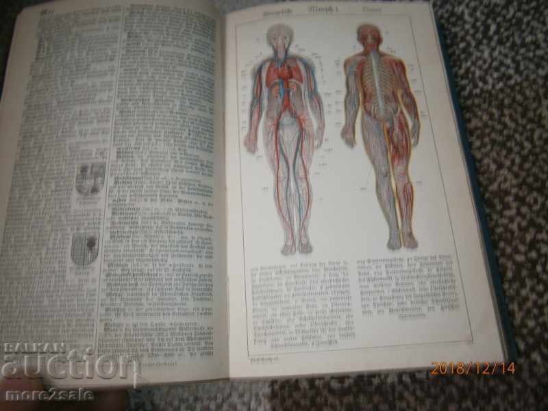 Auction DER VOLKS - BROCKHAUS A-Z 1934 YEAR - GERMAN-GERMAN Glossary Auction DER VOLKS - BROCKHAUS A-Z 1934 YEAR - GERMAN-GERMAN Glossary